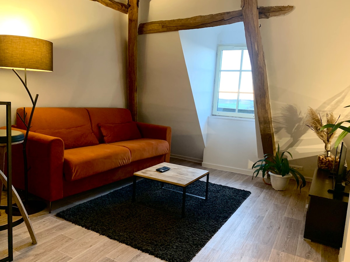 Appartement cosy vue sur le vignoble