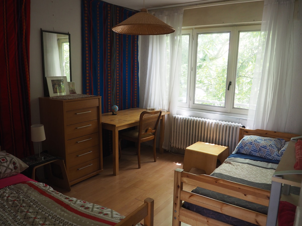 Rooms in house surrounded by trees