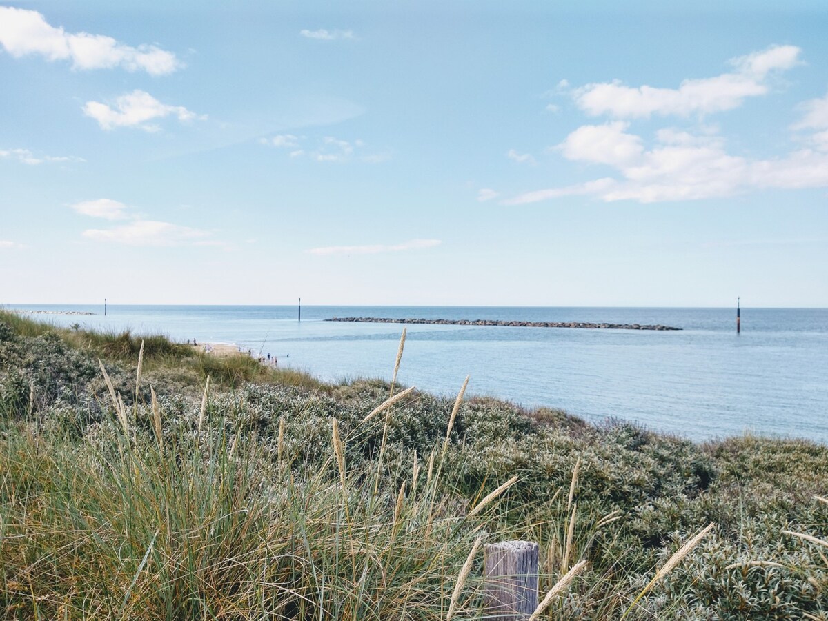 Dune Roamin ： Sea Palling 's Treasure -现在有电视