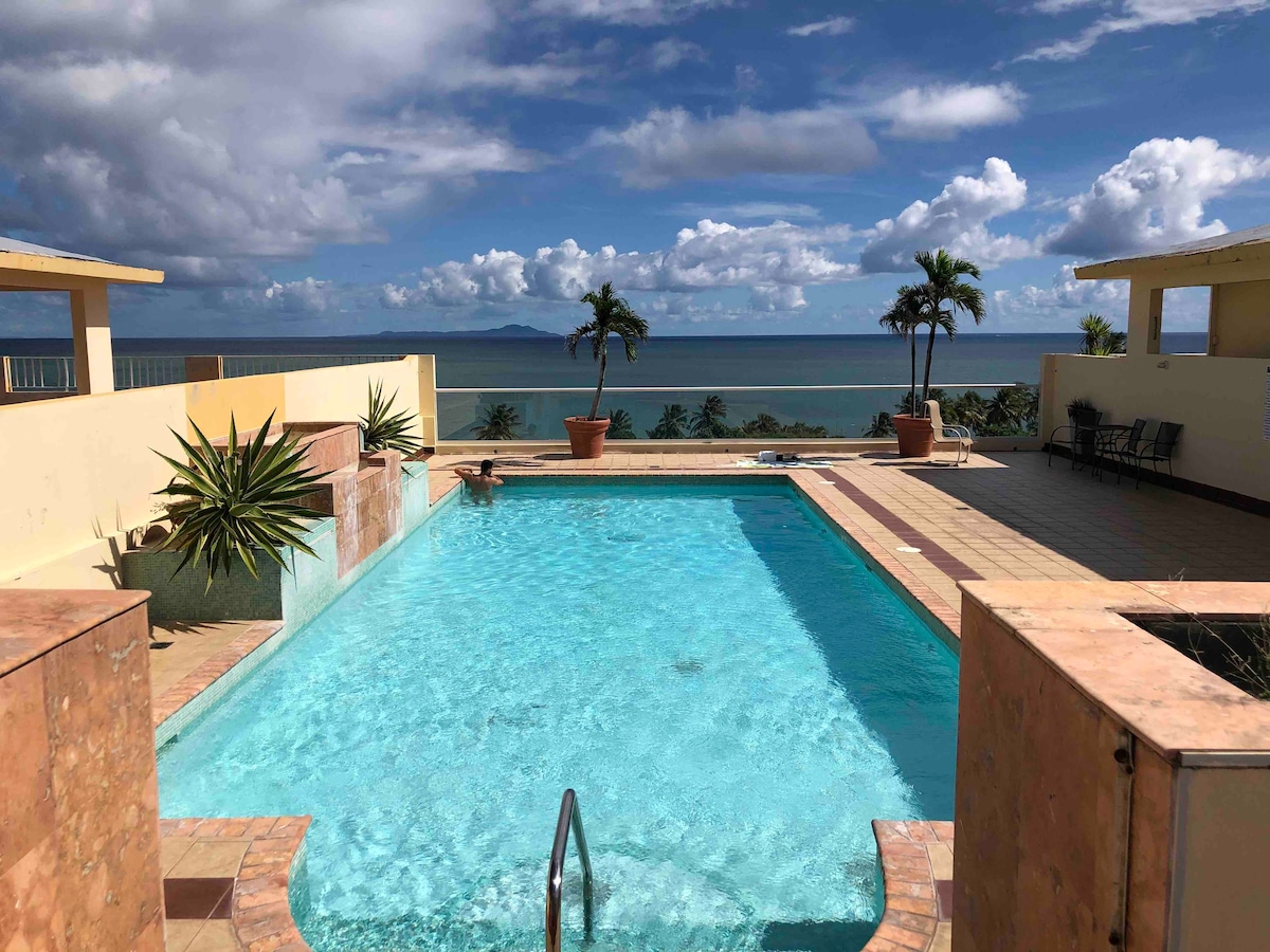 Tropical Ocean View Apt @ Palmas Del Mar w/ Pool