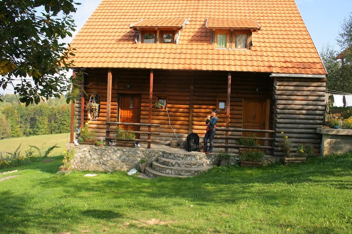 Bajina Basta, Zlatibor county的民宿