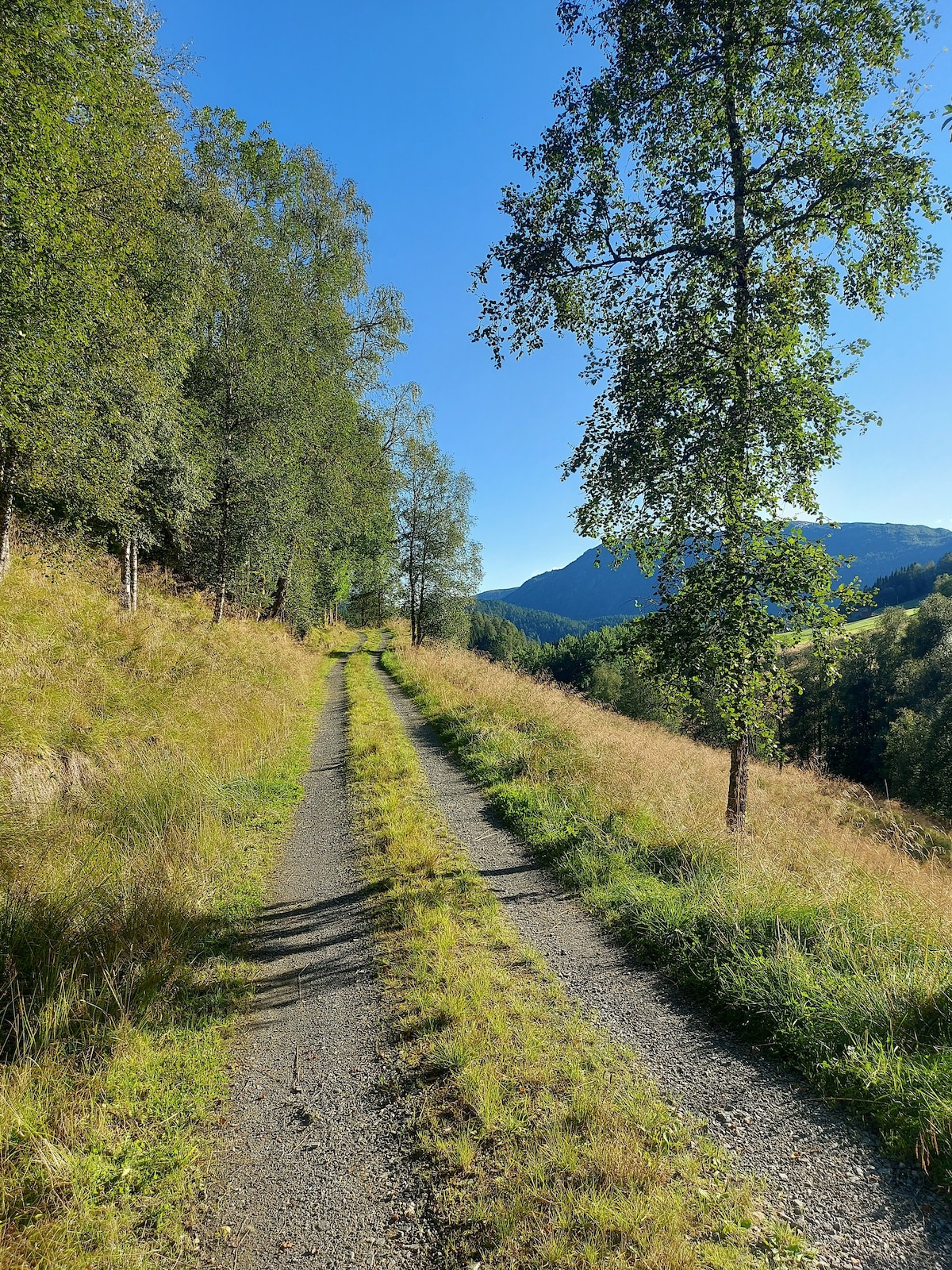 Gammelt gårdstun