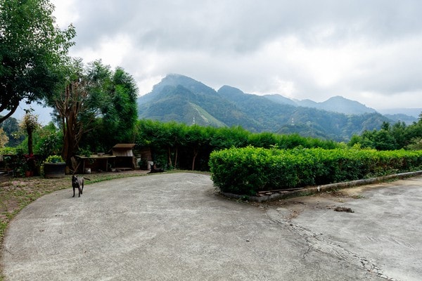 南庄東河 天水居