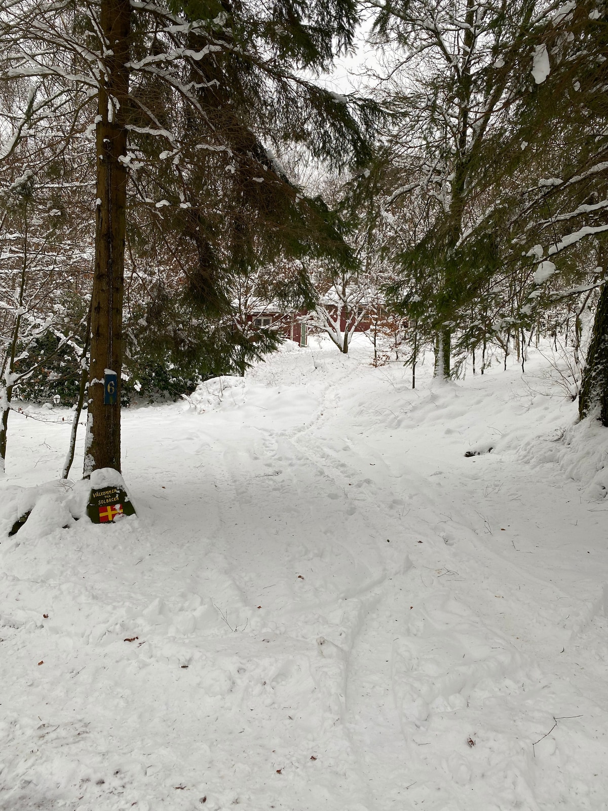 位于Hallandsåsen山顶的瑞典小屋