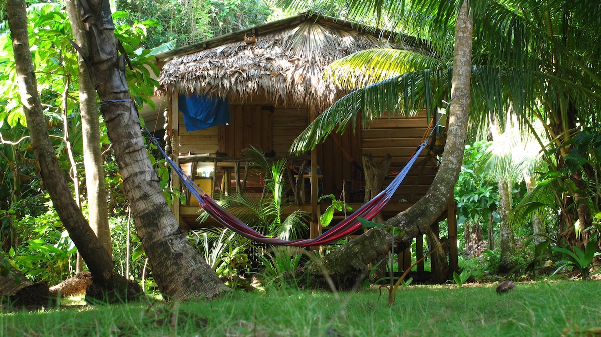 Casa Miskita. Ensueños. Little Corn Island