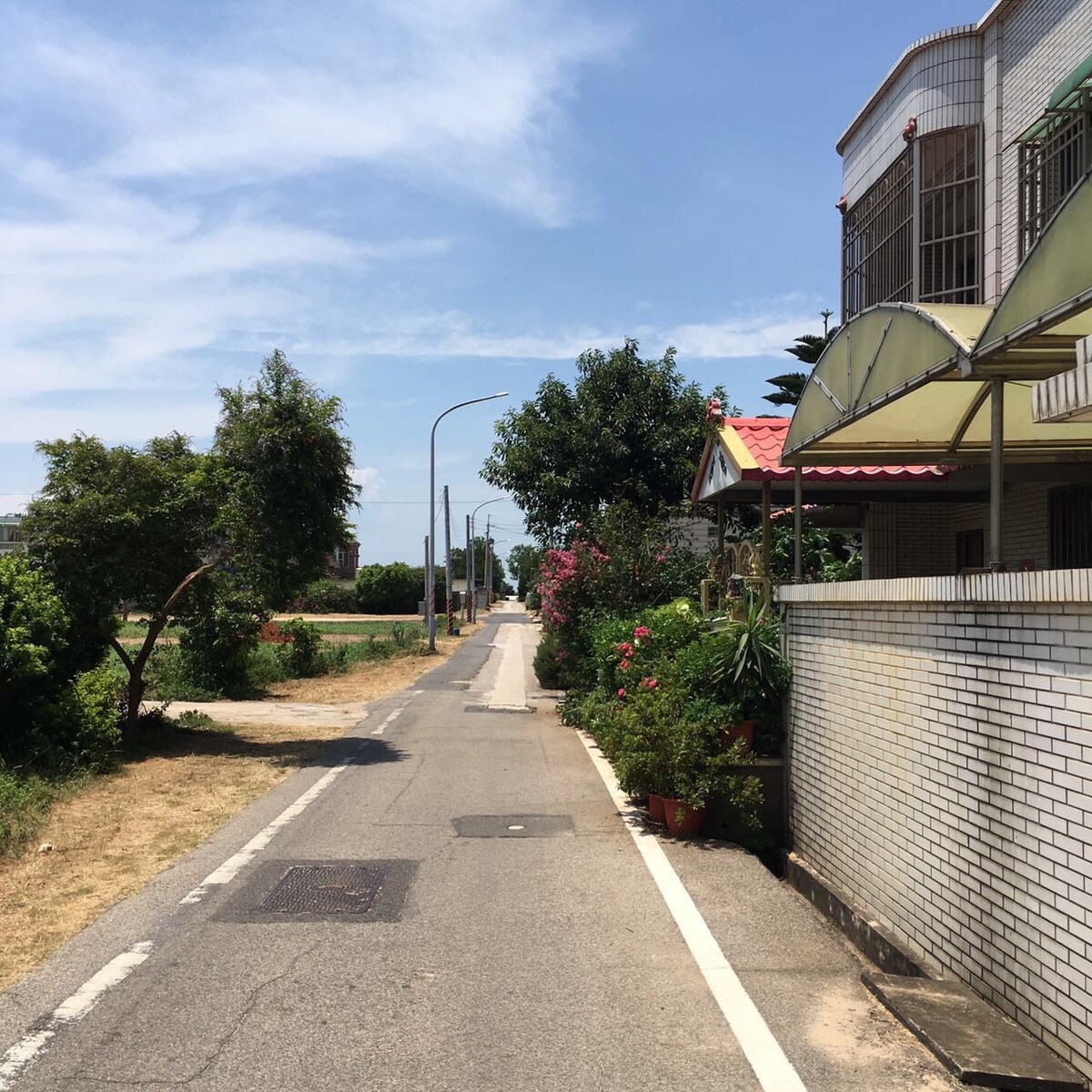 靠近海滩、市中心、餐饮的野生儿童旅舍