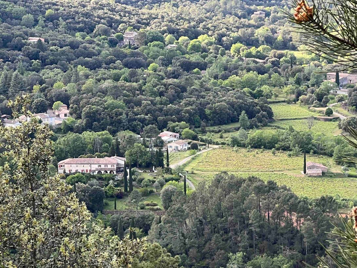 Mas du XVI s avec piscine  à Anduze