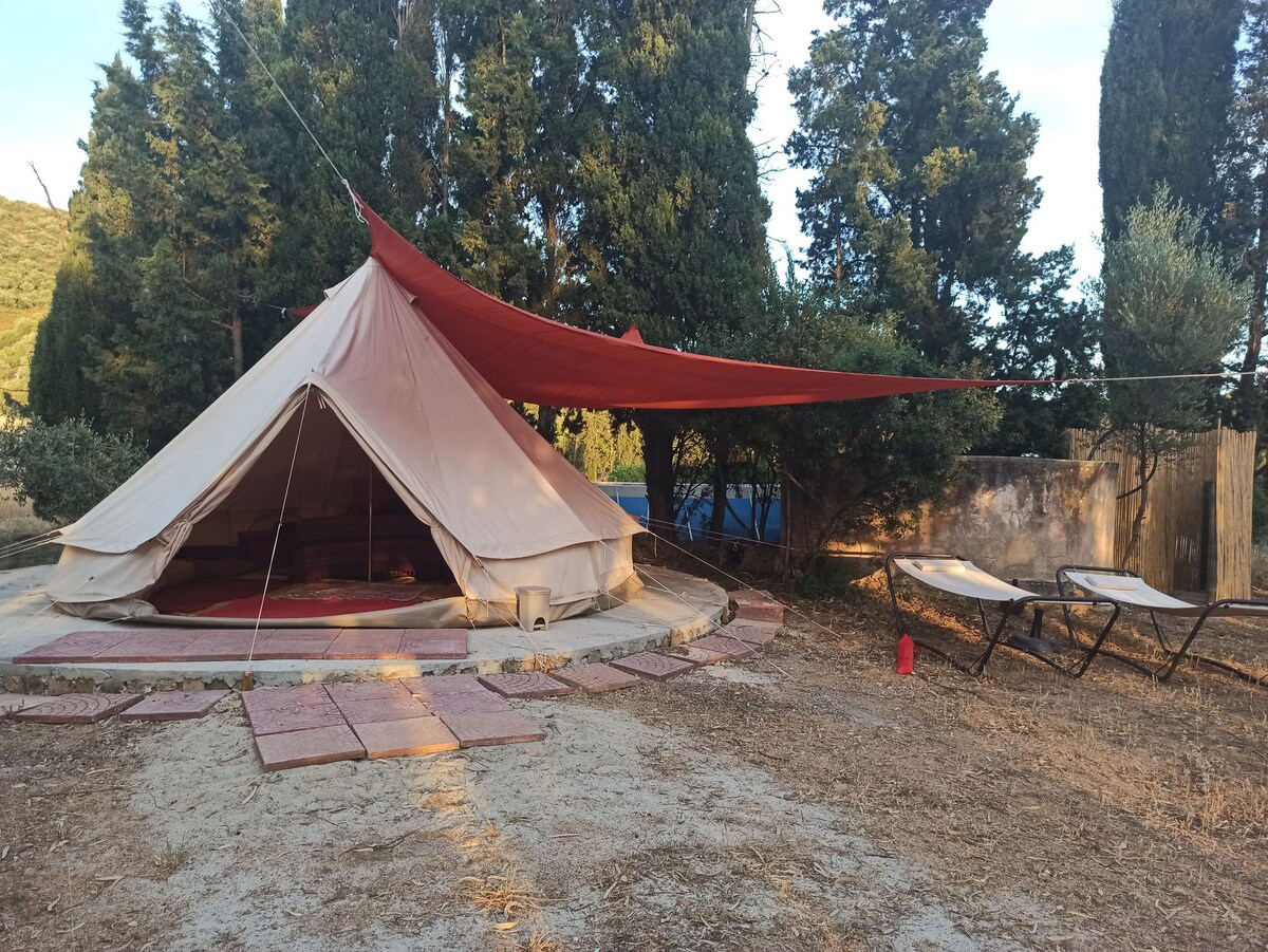 橄榄树豪华露营帐篷