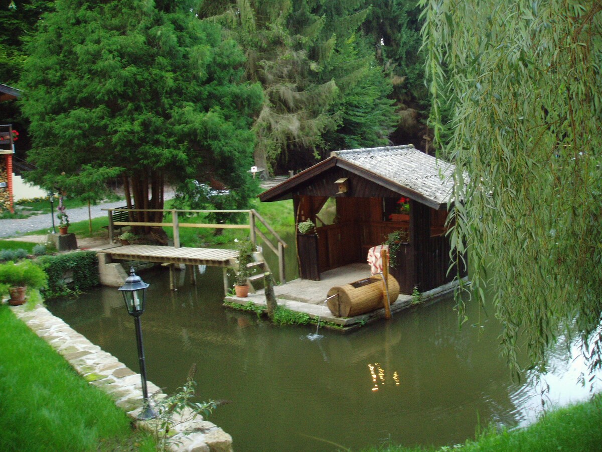 位于大自然中心的度假屋，带池塘