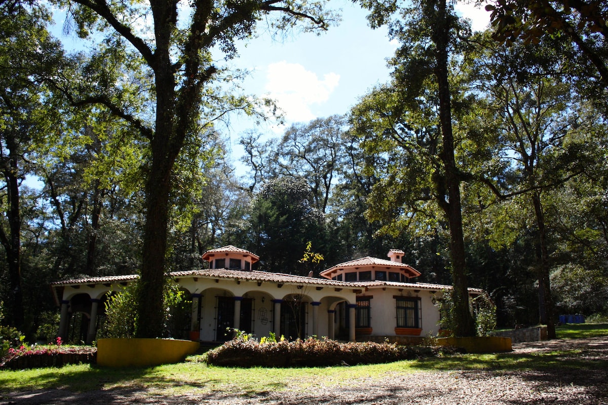 Casa del Bosque.