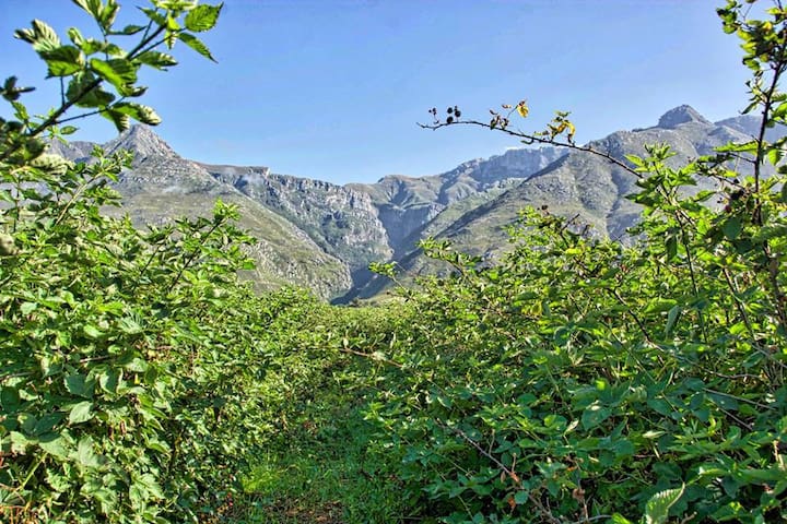 斯韦伦丹（Swellendam）的民宿