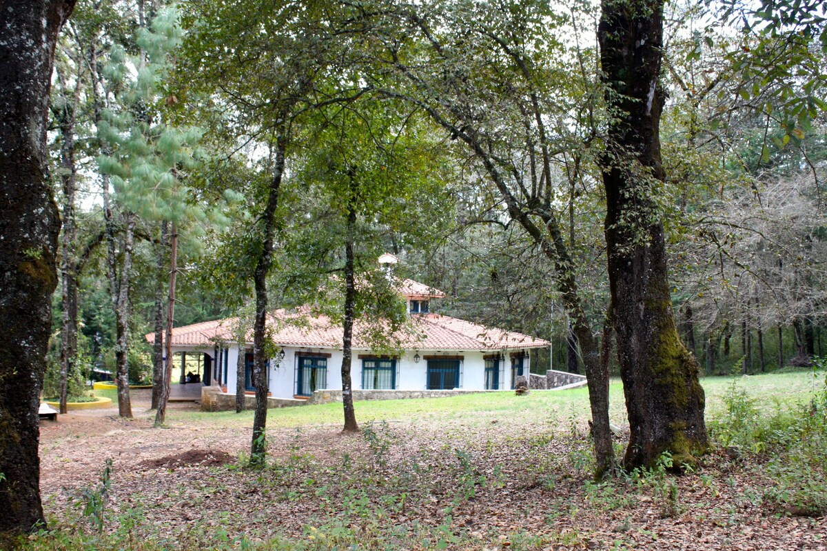 Casa del Bosque.