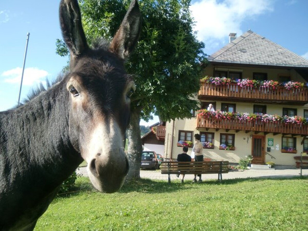 Sunmattehof ， （ Todtnau ） ， Ferienwohnung Kapelle ， 2 Schlafzimmer ，最多4人