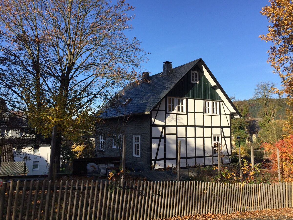 Sauerland的迷人住宅「Alte Försterei」
