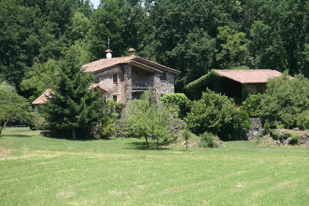 Can Roure, la Fageda d 'en Jordà