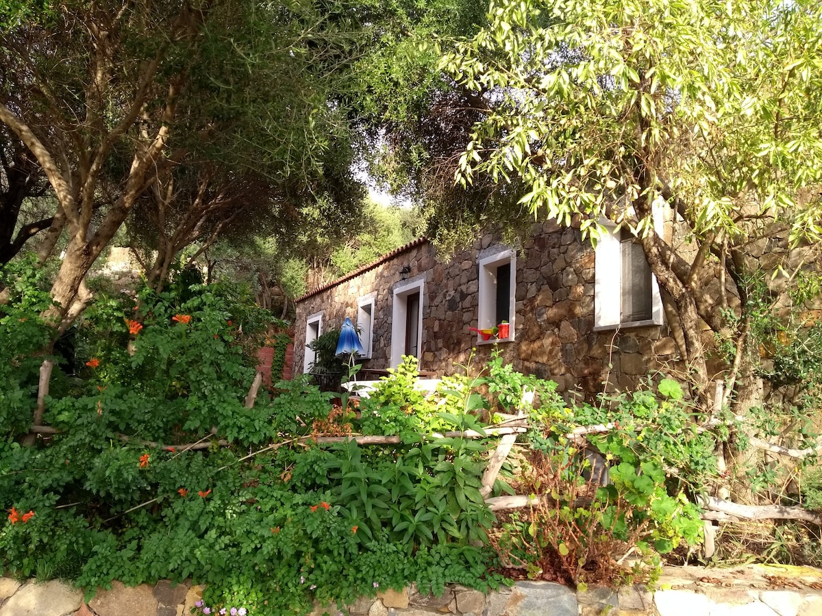 大自然中的撒丁岛风格房屋，适合放松身心