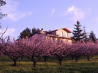 Podere Costantino - Alba公寓-天堂景观