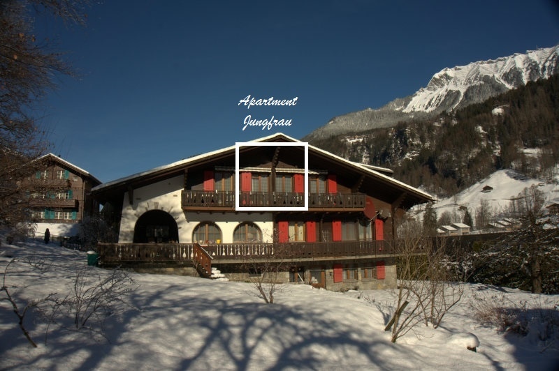 Jungfrau - Chalet Horner公寓