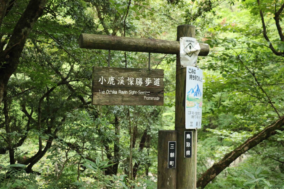 愛犬と泊まれるお部屋　元保健所犬すみれとみつばがお出迎え／日本遺産 三徳山・三朝温泉