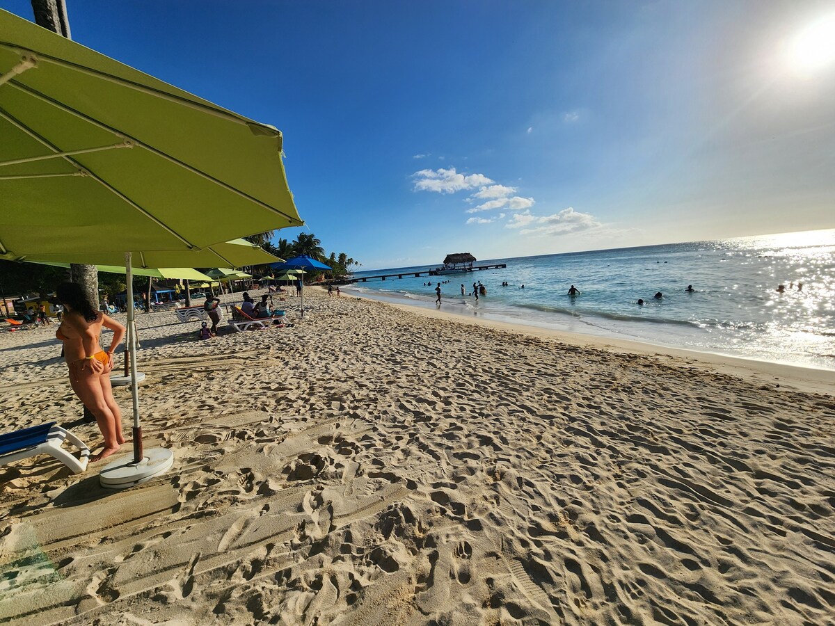 Tropical Retreat - Angelfish Villa Tobago