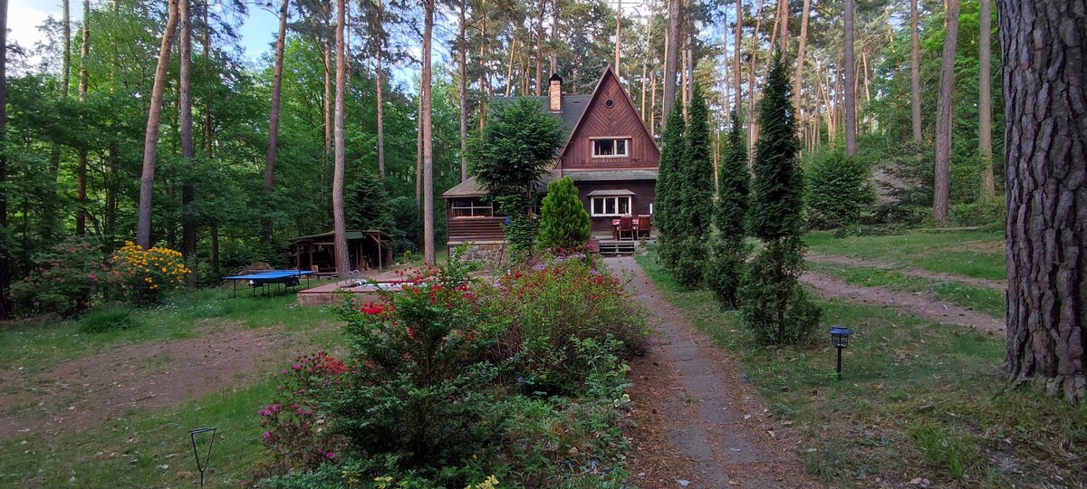 波希米亚中部森林中的浪漫小屋