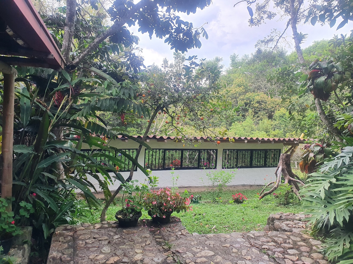 La Antigua生态酒店