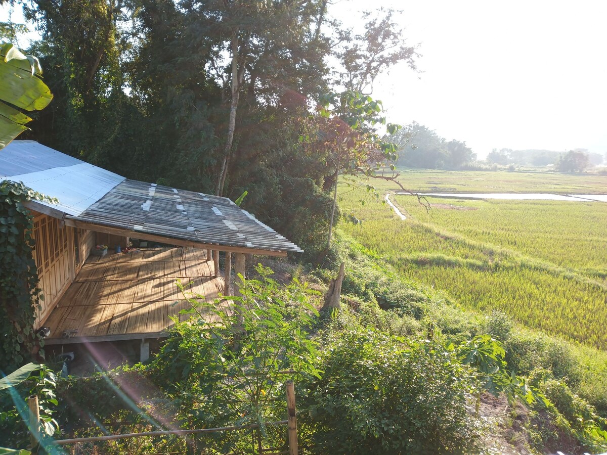 大森林里的小屋Mabaanpuan...