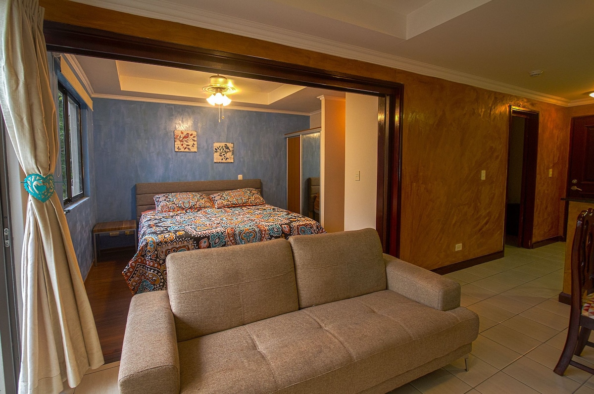优雅的Avalon C公寓，最佳位置。空调、加大双人床。