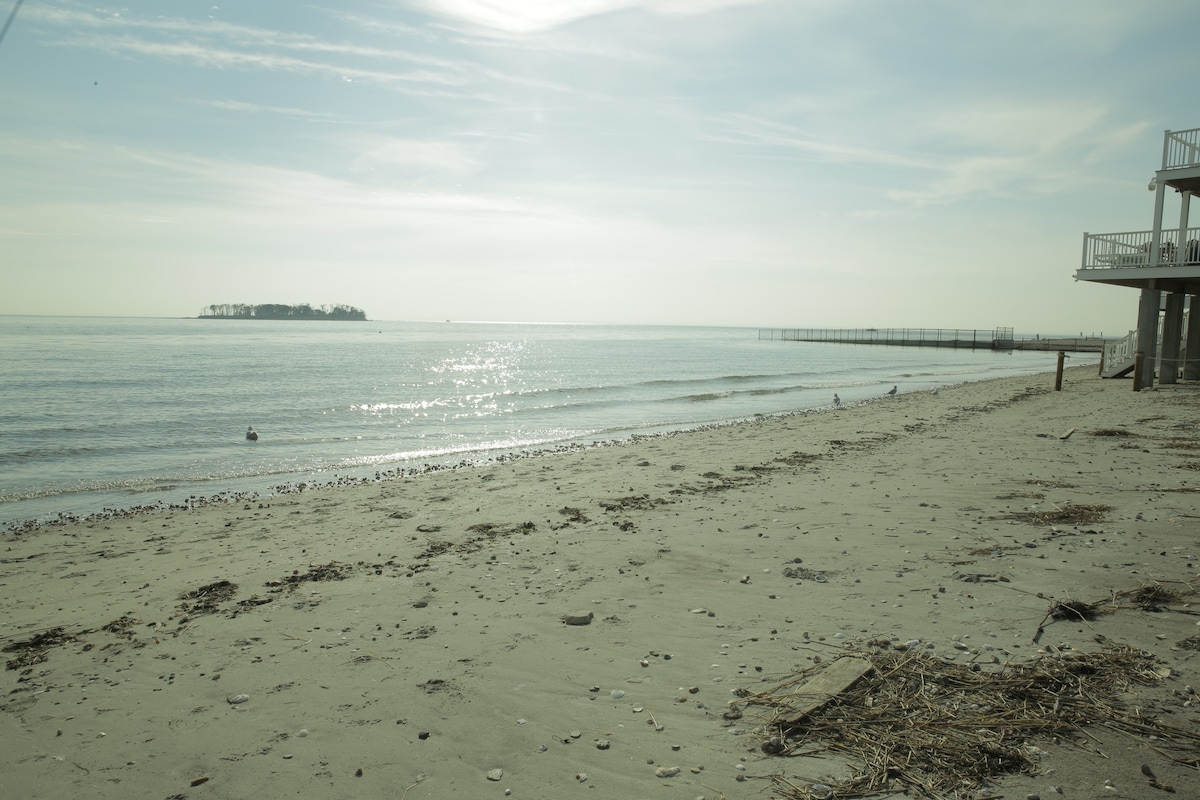 查尔斯岛（ Charles Island ）米尔福德海滩（ Milford Beach ）/银沙滩（ Silver S