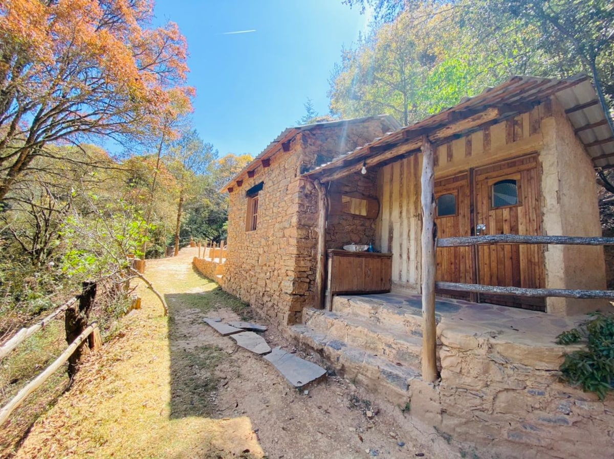 Cabaña Cantó del Jilguero/El Bosque de las Ranas