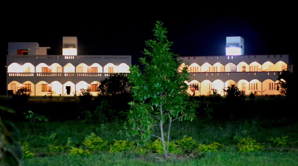 Ashok Tree at Yogiville