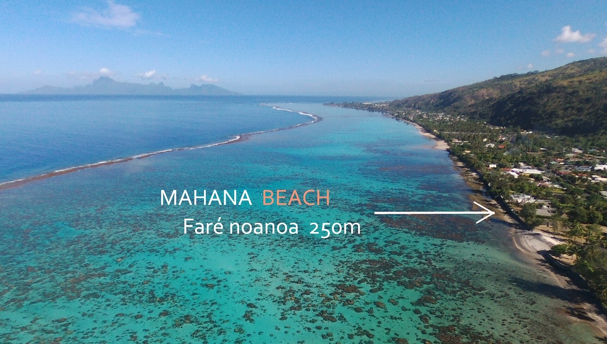 Fare noanoa-Fakarava套房+ lagon proche +无线网络光纤