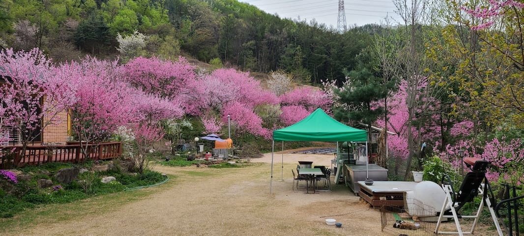 Sohol-eup, Pocheon-si的民宿