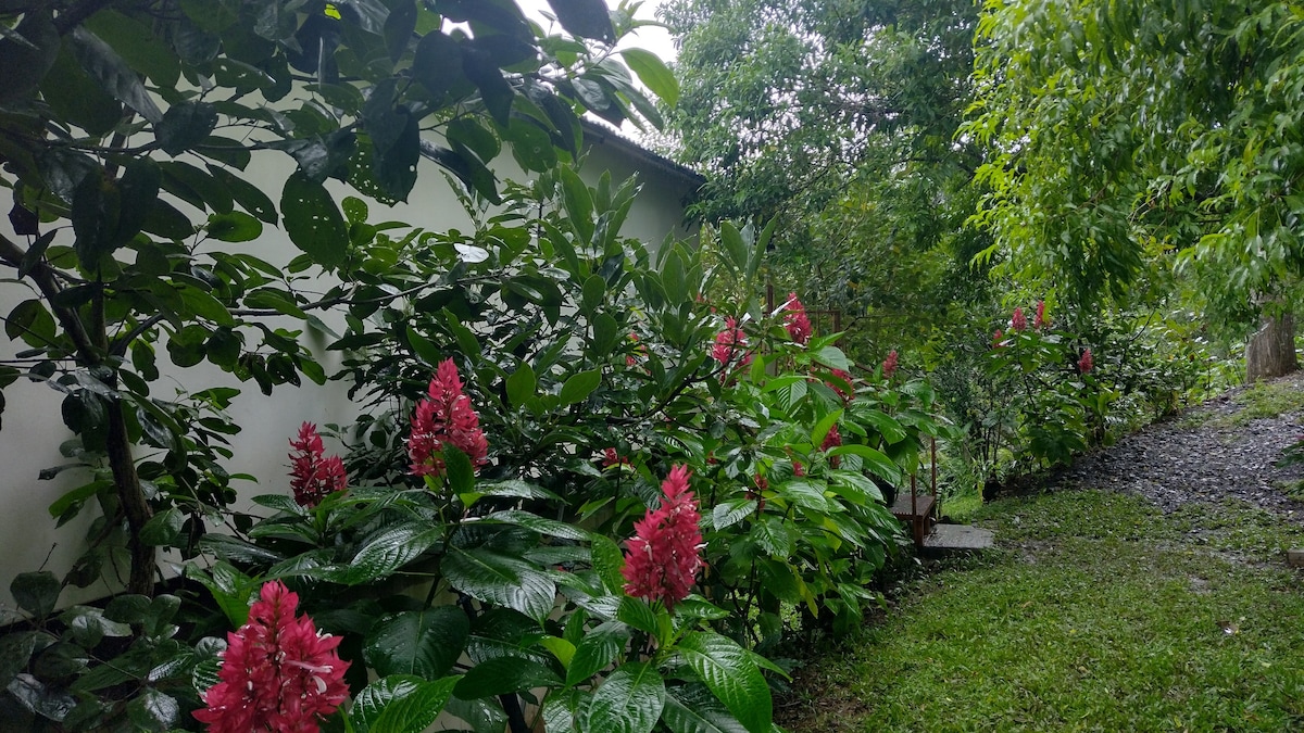 Coffee Farm room with breakfast