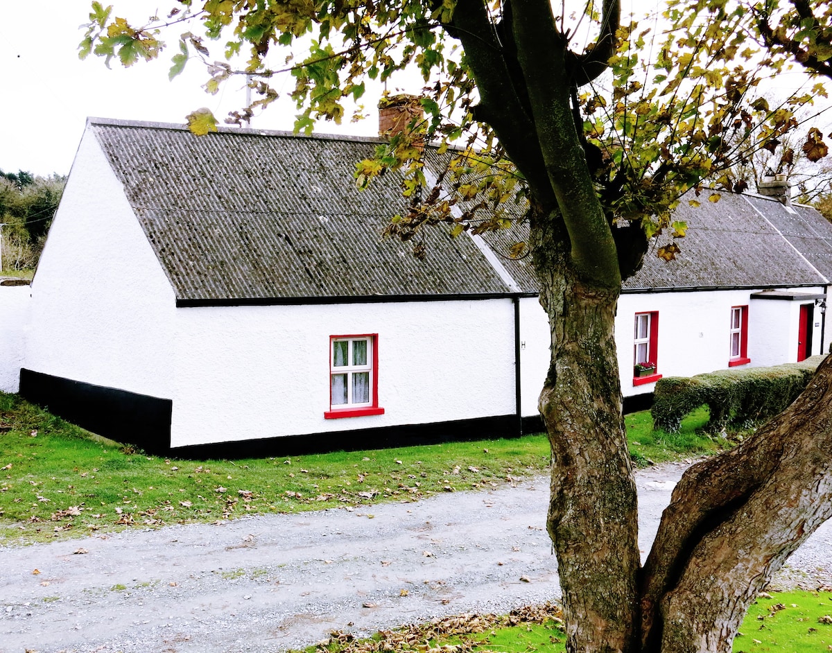 美丽的传统爱尔兰小屋