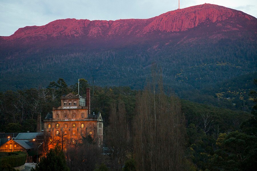 叶子般的Hobart Town Pad