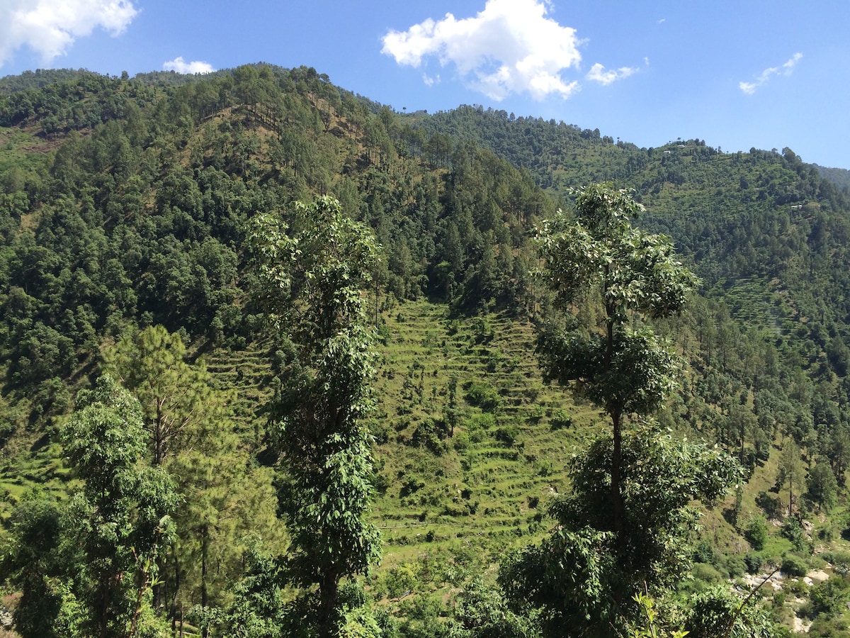 Writers Retreat in the Himalayas, Mukteshwar