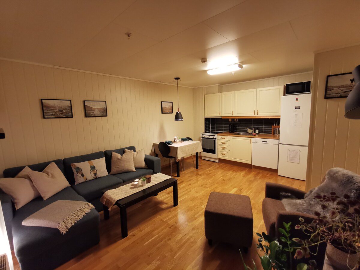 位于Longyearbyen市中心的中央舒适公寓
