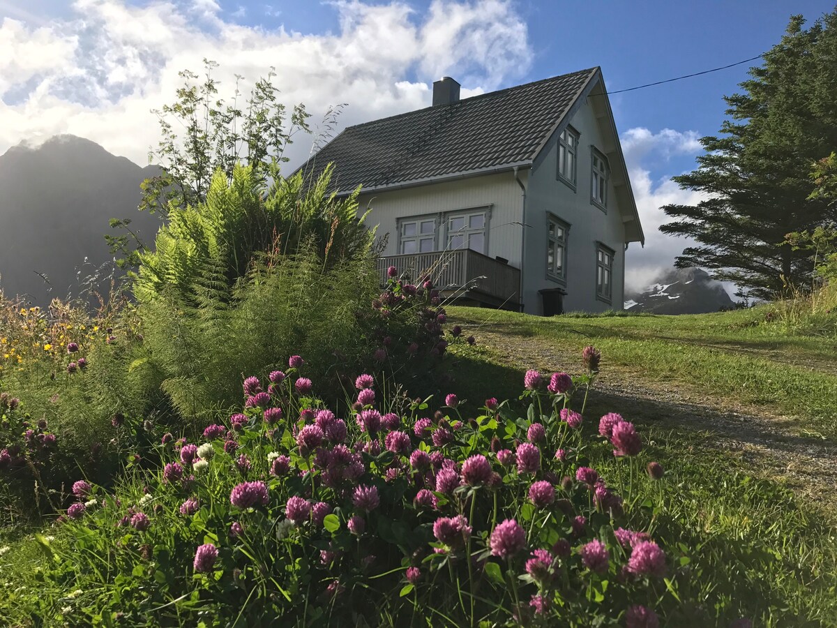 Lofoten - Lillehaugen Hus, Sørvågen