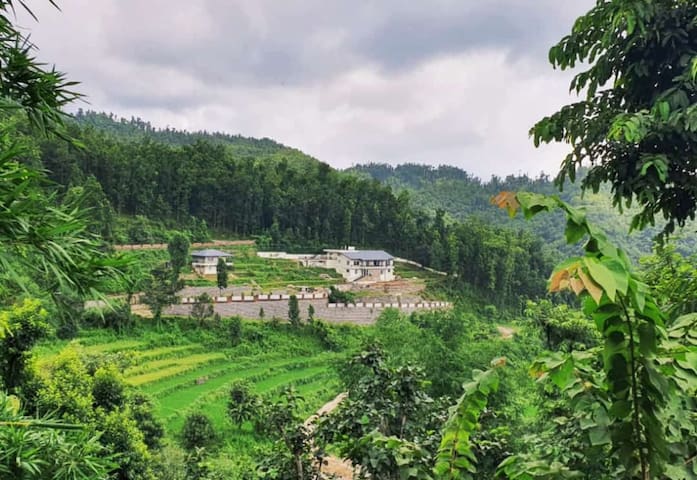 德拉敦(Dehradun)的民宿