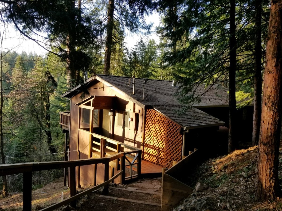 Cedar Pines Cabin - A Quaint Rustic Charmer