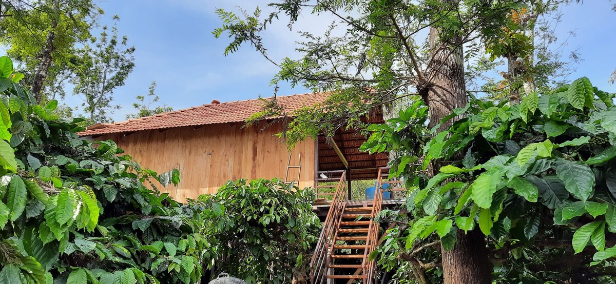 Kambalakaad Holiday Home-Treetop Wooden Villa-2