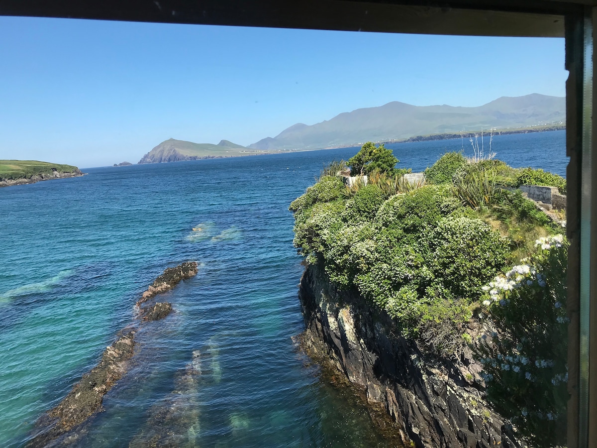 Bird Nest Cabin on the sea - Dingle Peninsula