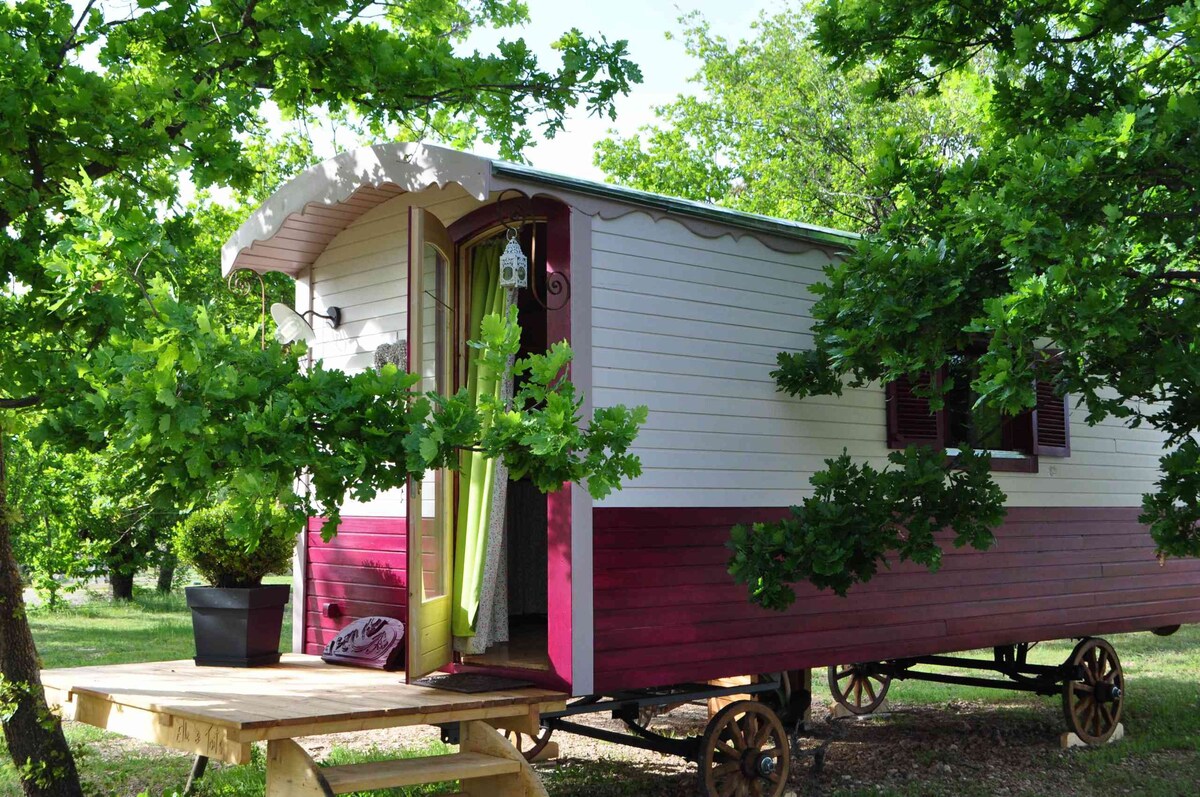 Gypsy Caravan  + swimming pool