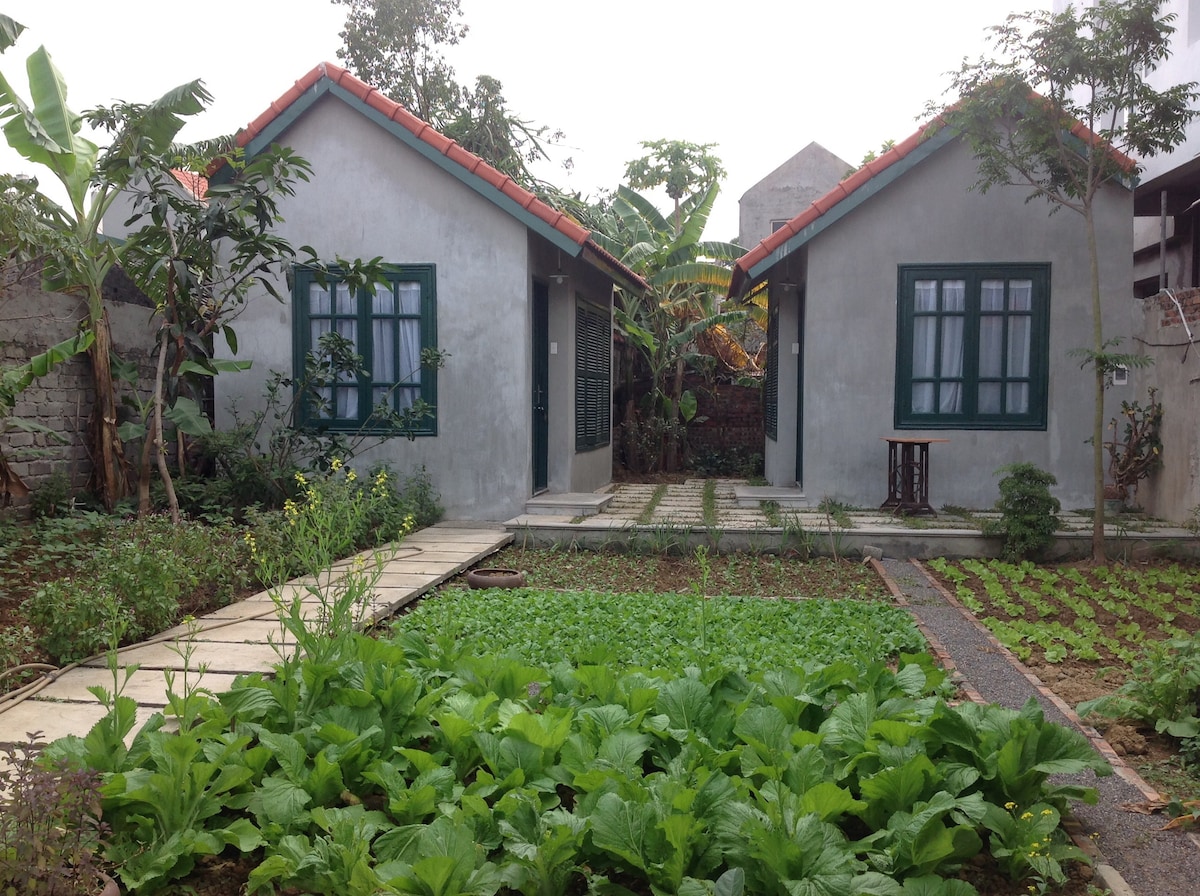 Tamcoc Ecohouse - Basil room