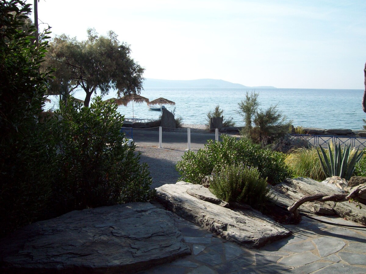 位于Psili Ammos Samos的绿洲单间公寓海滩