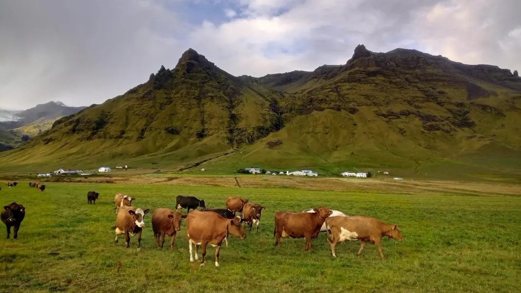 Skógafoss奶牛场住宿- Eyjafjallajökull景观