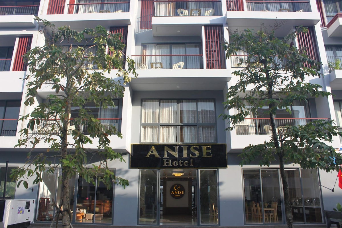 Anise 209