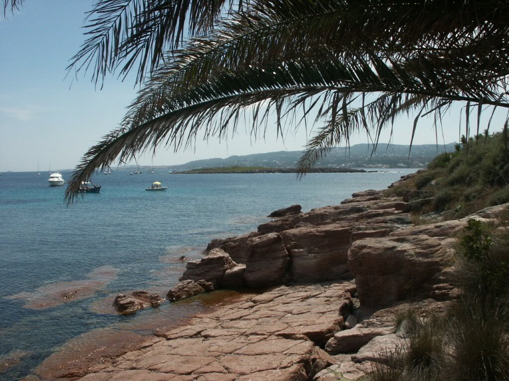 Isola Piana casa con giardino sotto i Pitosfori