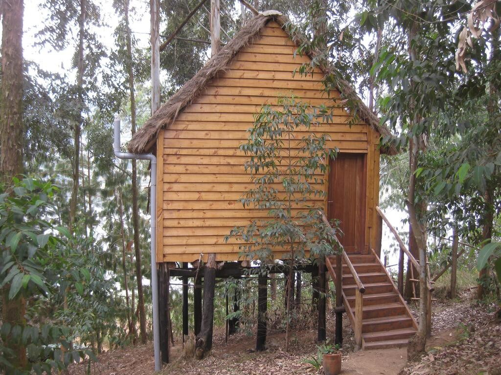 Agapanthus Treehouse, Itambira Island, Bunyonyi